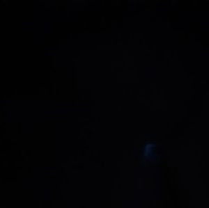 Meet your Posher, Rodney